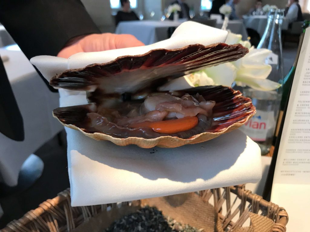 Jakobsmuschel von Joachim Wissler im Vendome - Bjr Le Bouquet