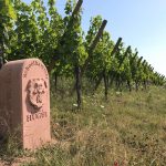 Famille Hugel Grand Cru Lage Schoelhammer