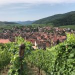 Blick und Panorama vom Schoelhammer auf Riquewihr im Elsass, Frankreich