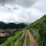 Elsass Alsace Grand Cru Tour Millesimés Alsace CIVA Rangen Steillage Steap Klima Schoffit Zind Humbrecht Riesling