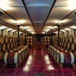 Ornellaia Weingut Winery Bolgheri Castagneto Carducci Toskana Tuscany Björn Bittner Weinkeller Keller Cellar Fässer