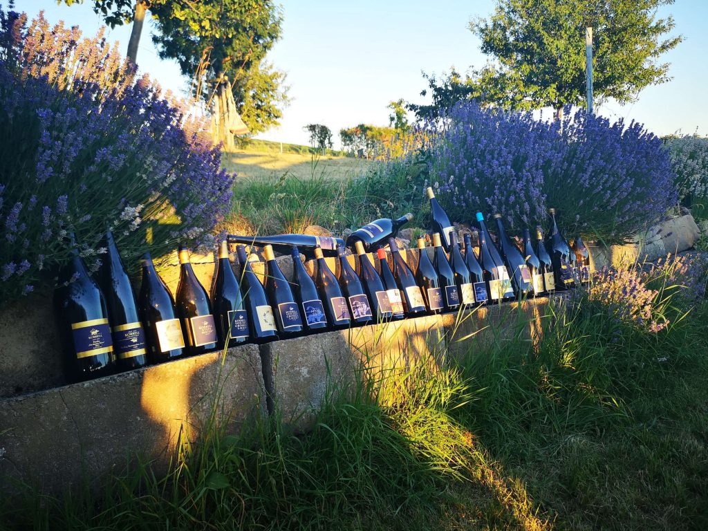 Weingut Korrell Nahe Magnum Martin Björn Bittner Tesch Riesling Paradies Königsschild Karthäuser Beerenauslese Jahrgang Weinberg