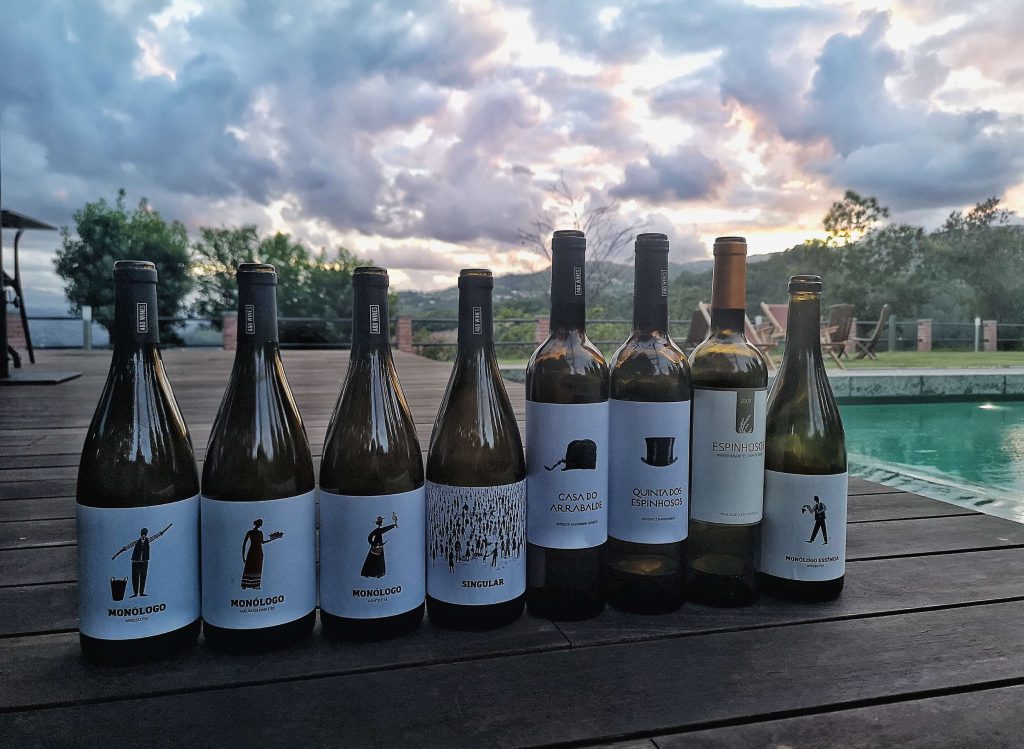 Vinho Verde Great European Wines Porto AD Wines Monologo