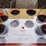 Escudo Rojo Chile Bordeaux Baron Philippe de Rotschild Hamburg Tasting Verkostung Vertikal Vertical Cabernet Sauvignon Carmenere