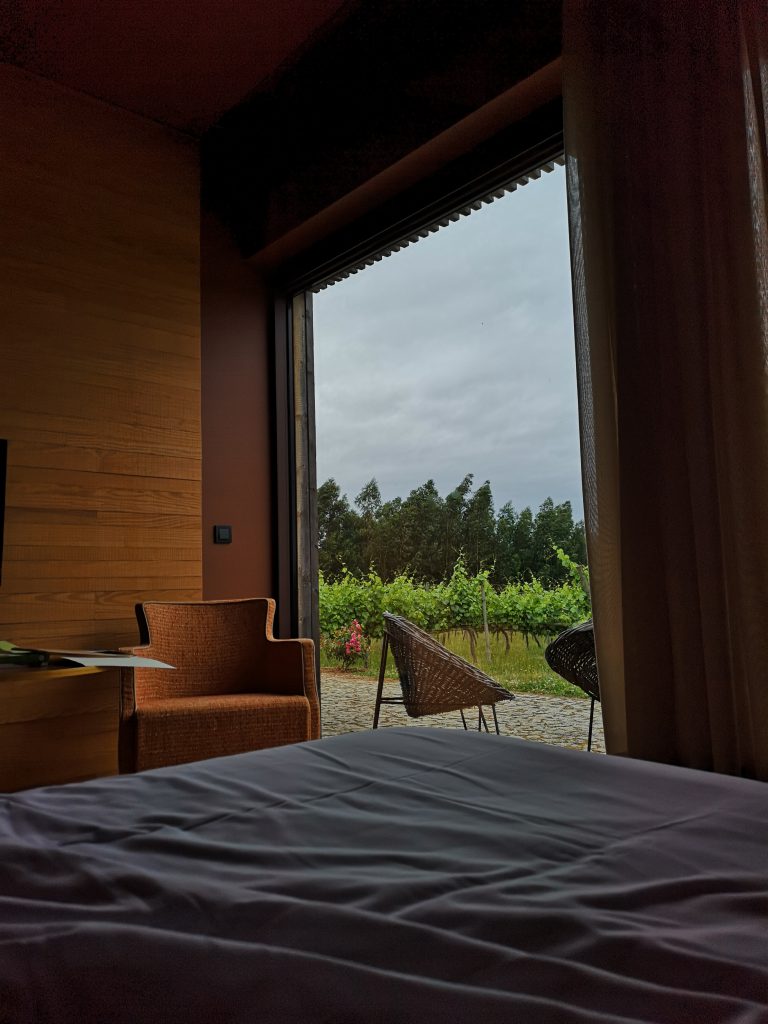 Portugal Vinho Verde Reise Reisebericht Hotel Reben Weinberg Vineyard View Aussicht