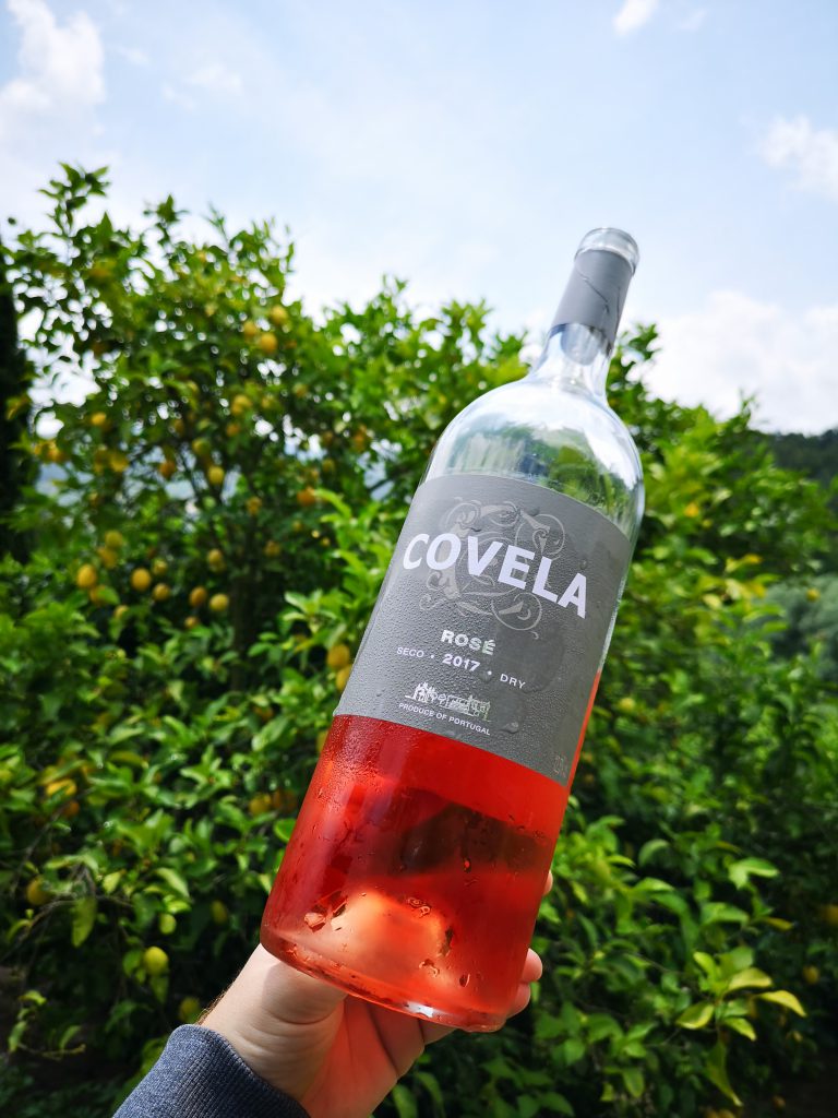 Portugal Vinho Verde Reise Reisebericht Quinta Covela Rosé Zitronenbaum