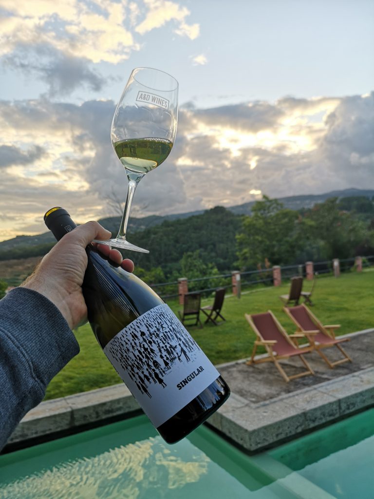 Portugal Vinho Verde Reise Reisebericht Singular Arinto Avesso AD Wines Weingut Quinta