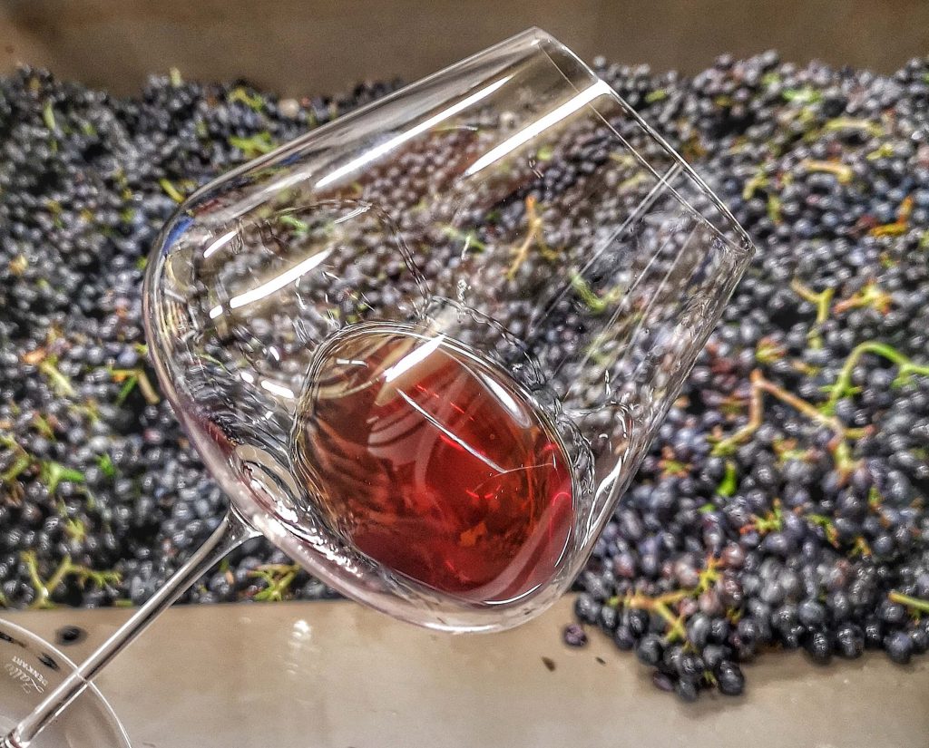 Castelfeder Südtirol Pinot Zalto Burgund Noir Burgum Novum Grapes Trauben Presse