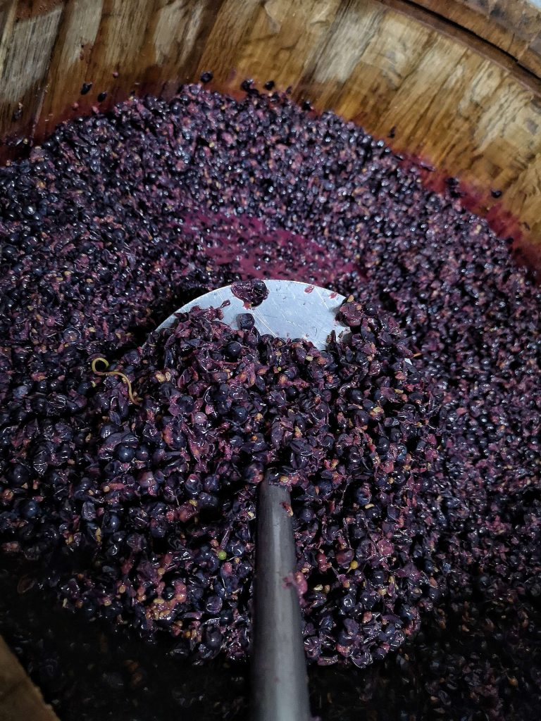 Castelfeder Pinot Nero Noir Späburgunder Pressen Press Wein