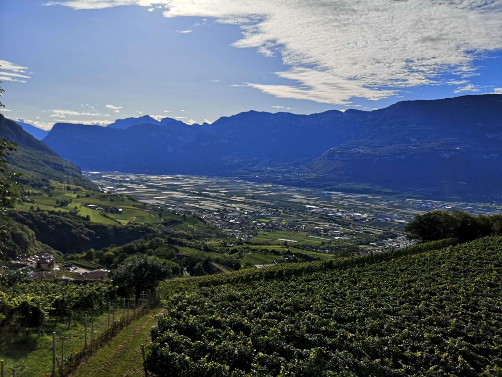 Castelfeder Südtirol Kurtinig Neumarkt Weinstraße