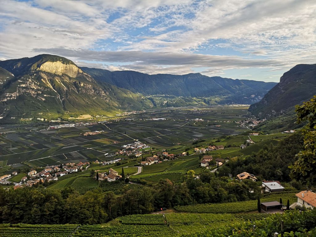 Castelfeder Südtirol Rebfläche Weingarten Weinstraße Neumarkt Kurtinig