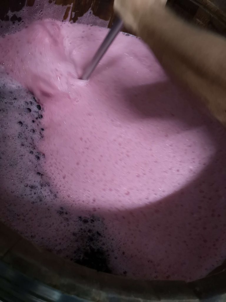 Castelfeder Südtirol Pinot Noir Nero Rotwein Redwine