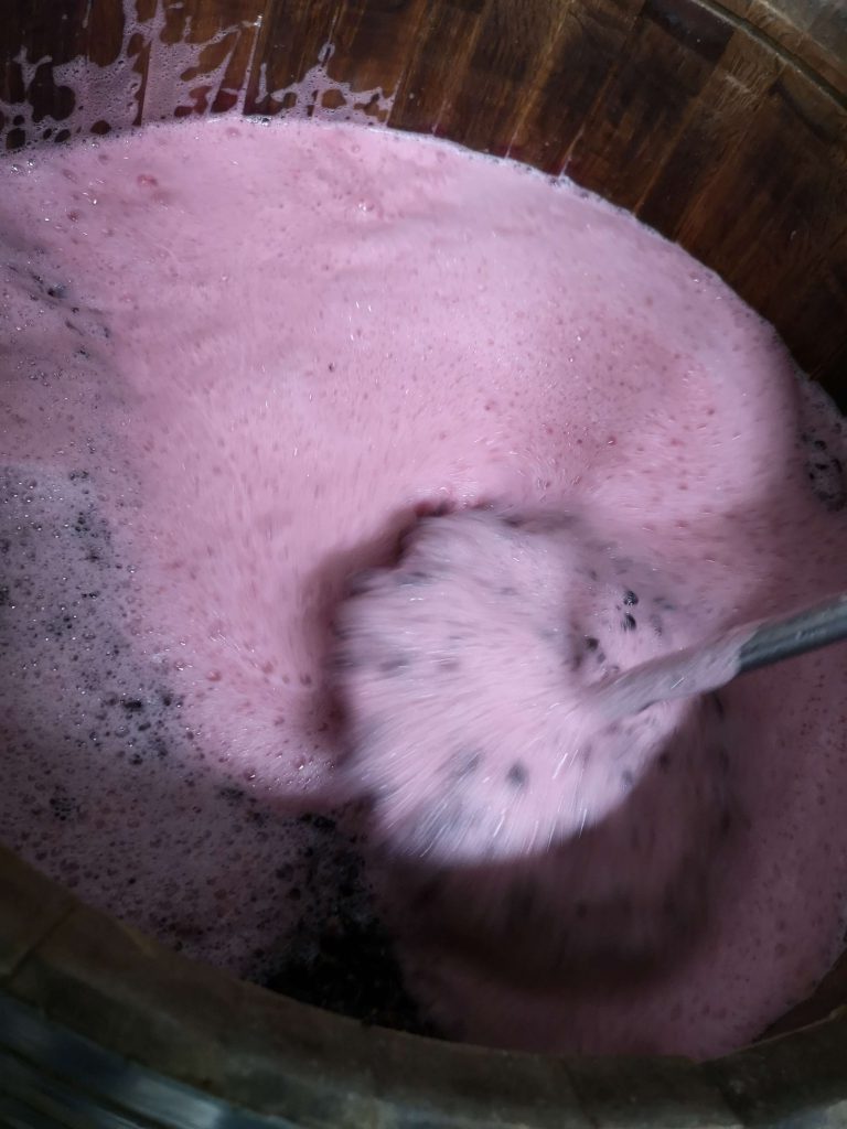 Castelfeder Pinot Noir Nero Rotwein Vernatsch Südtirol