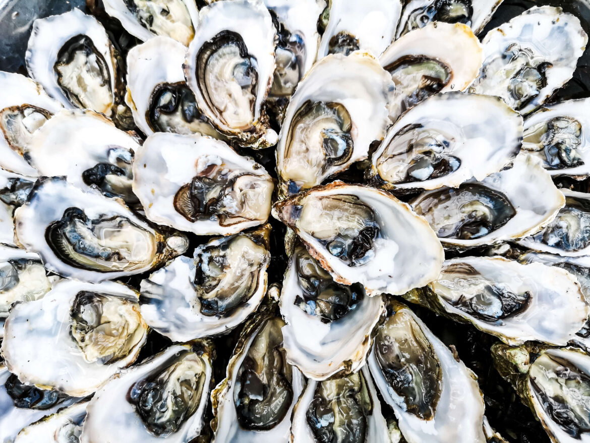 Austern – Perlen des Genusses Austern Auster Oyster Perle Genuss Luxus