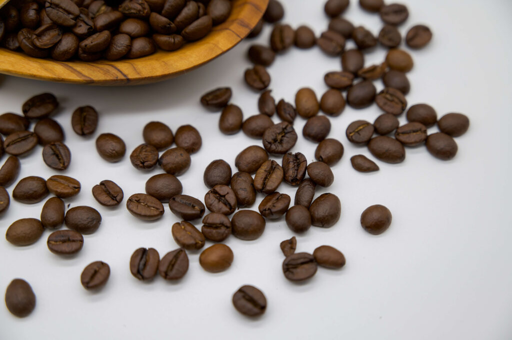 Luwak Kaffee Kopi Tesdorpf Kaffeebohnen Bohne