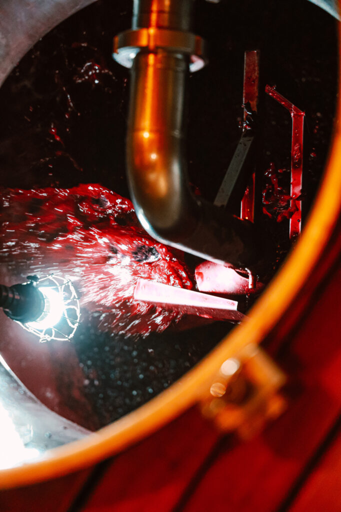 Aster Winery Fermentation Tempranillo Red wine Rotwein