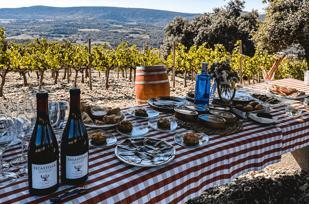 Secastilla - Singular Wine Estates