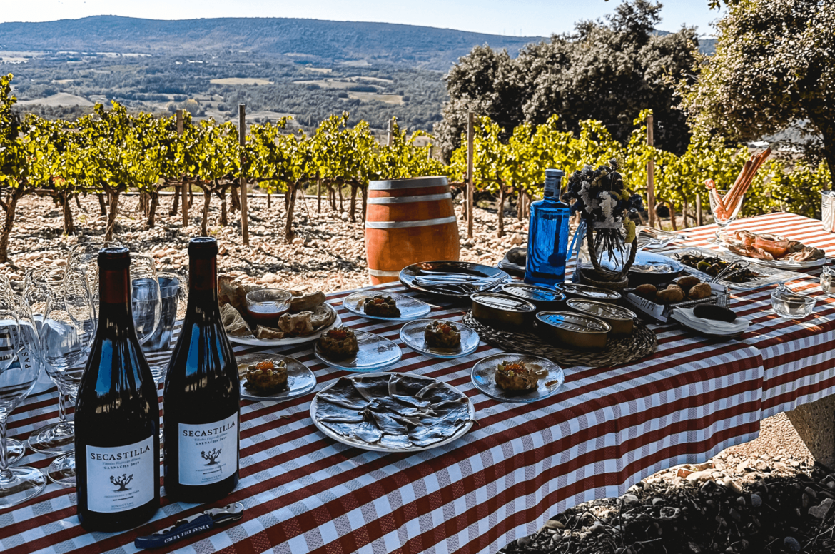 Gónzalez Byass – Singular Wine Estates Secastilla - Singular Wine Estates